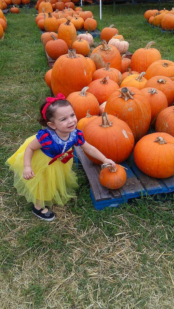 Serenity is registered to the contest to win money with this photo: calabaza, child, cucurbita, fun, gourd, grass, halloween, joy, local_food, person, pumpkin, squash, winter_squash