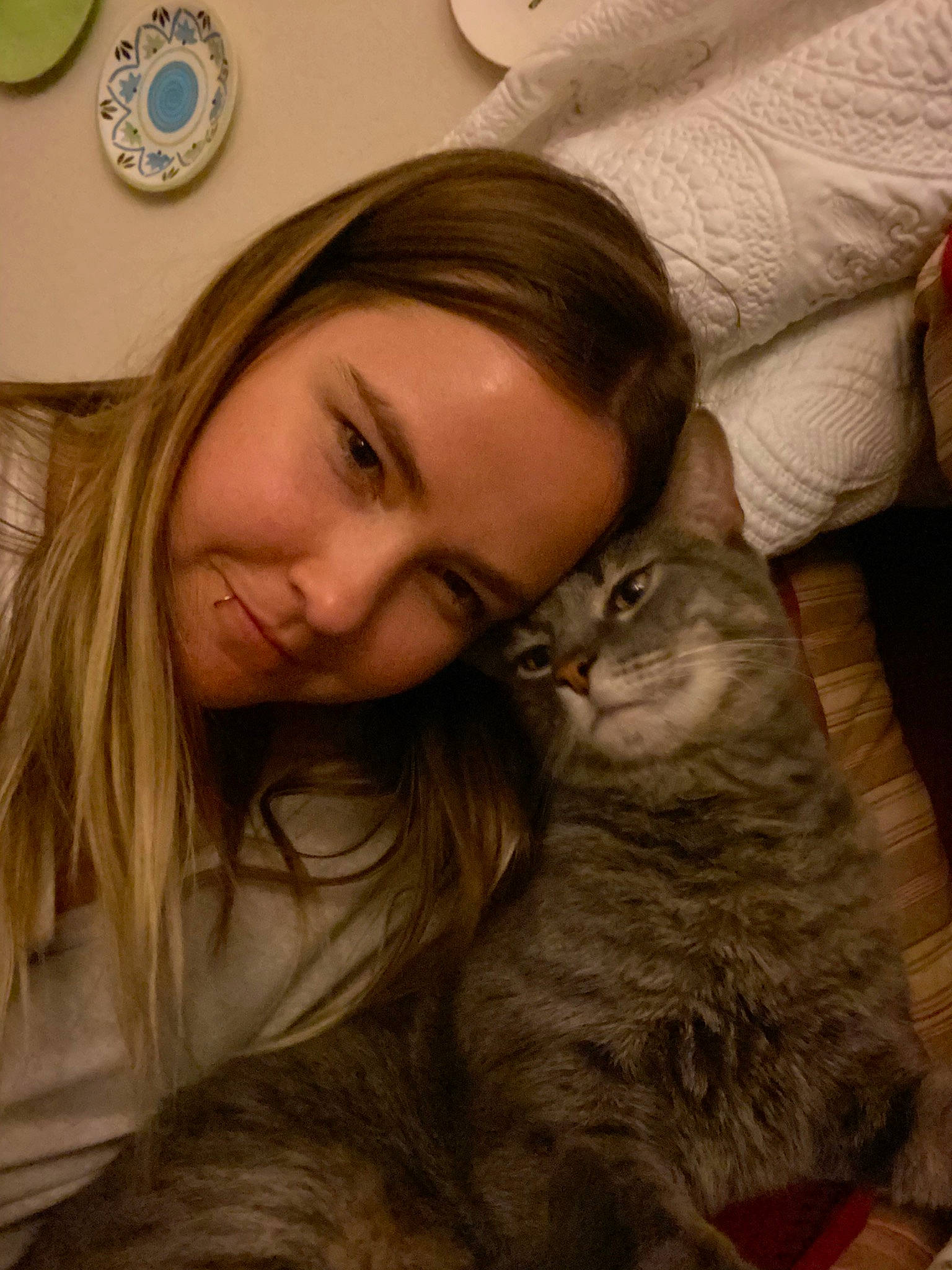 Moriarty joined the competition — help win amazing prizes! asian, british_longhair, carnivore, cat, felidae, fur, gesture, long_hair, nebelung, nose, pixie_bob, siberian, small_to_medium_sized_cats, whiskers