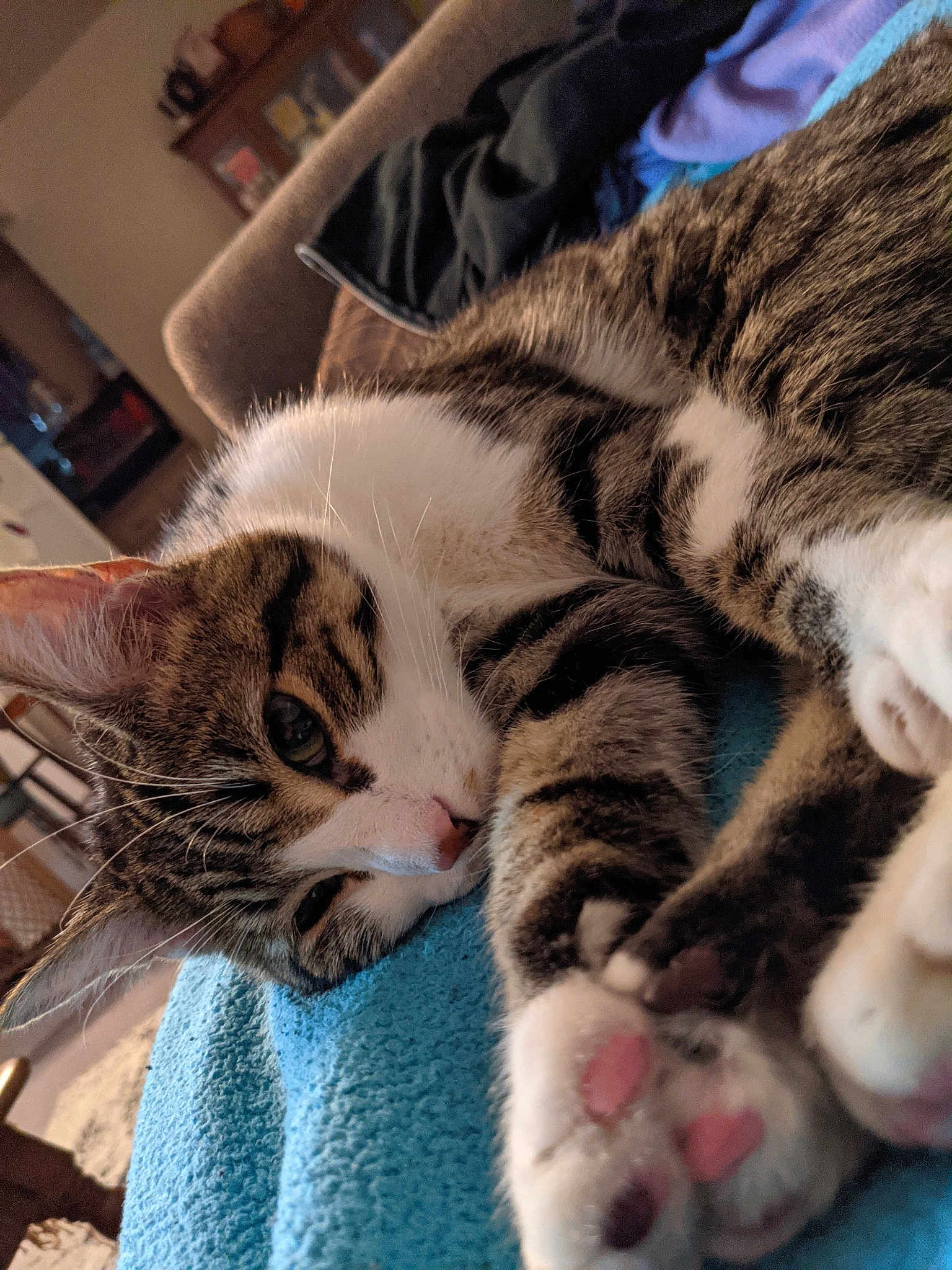 Sokka