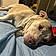 Mugsy