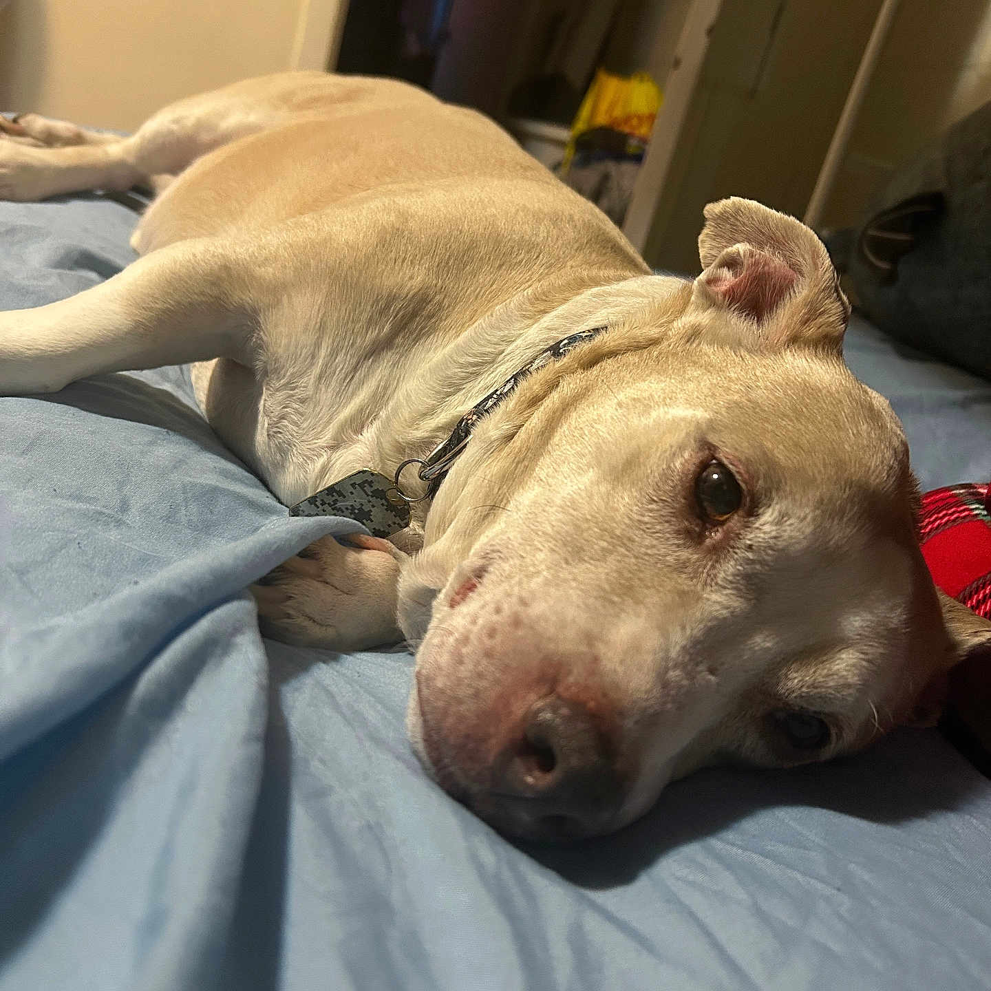Mugsy