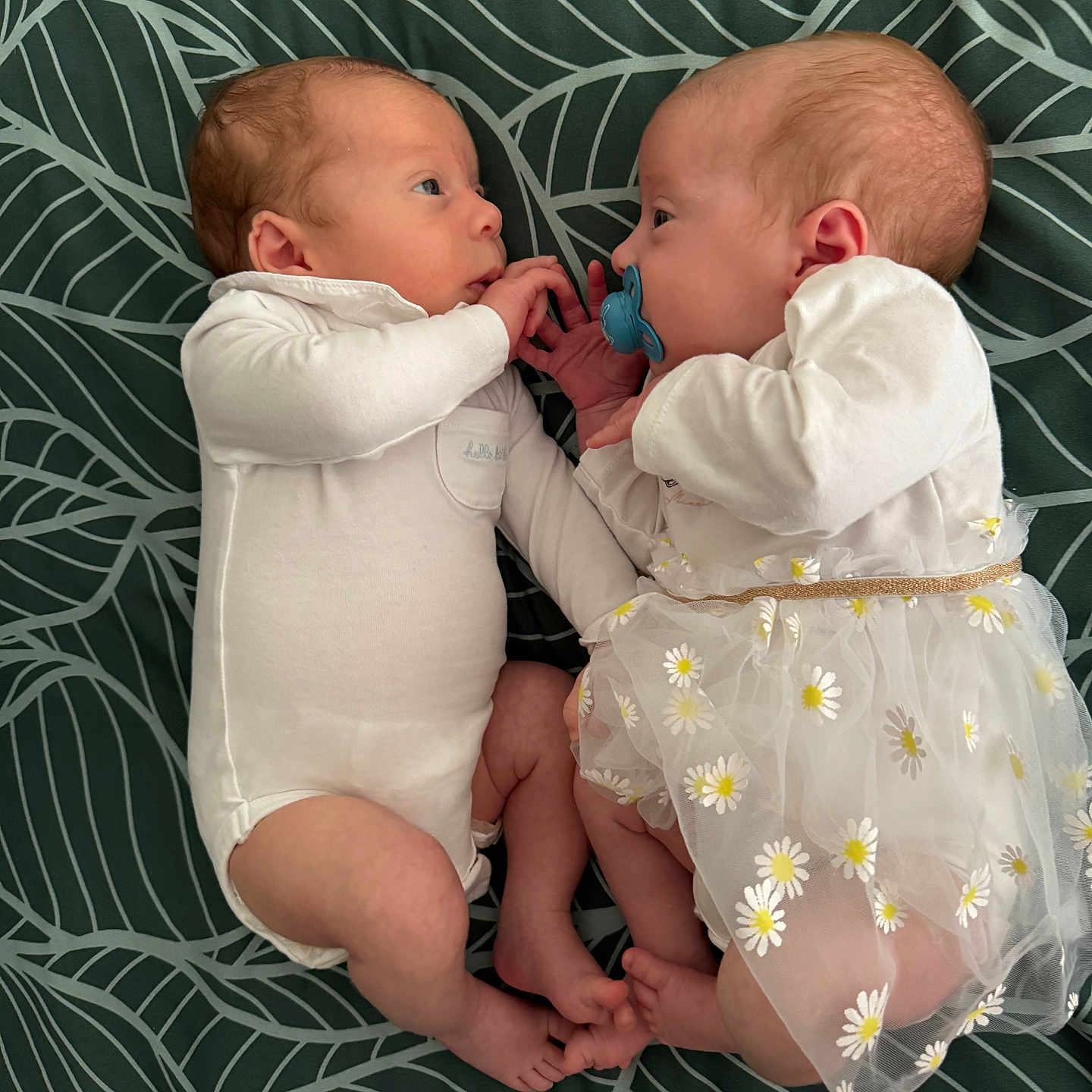 Lyanaetryan participe au concours pour gagner de l'argent avec cette photo : baby, blanket, cute, daisy_pattern, face, feet, hand, indoor, infant, interaction, leaf_pattern, lying_down, newborn, onesie, pacifier, portrait, soft_lighting, toddler, tutu, white_clothing