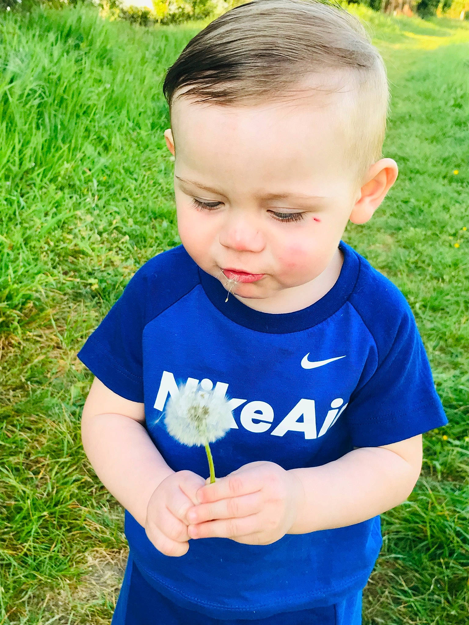 Dewis a rejoint le concours — aidez-le/la à gagner de superbes lots ! baby, blue, child, electric_blue, fun, grass, grass_family, green, happy, lawn, meadow, person, plant, play, smile, spring, summer, t_shirt, toddler, vacation