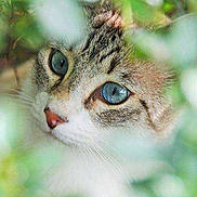 Héliot participe au concours pour gagner de l'argent avec cette photo :