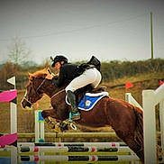 Verywelsh Des Lieux a rejoint le concours — aidez-le/la à gagner de superbes lots !