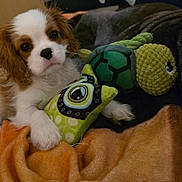 Altesse a rejoint le concours — aidez-le/la à gagner de superbes lots ! puppy, dog, toy, plush_toy, blanket, orange_blanket, green_toy, turtle_toy, indoor, cute, pet, fur, animal, cozy, lying_down, close_up, soft_texture, brown_and_white, young_dog, companion