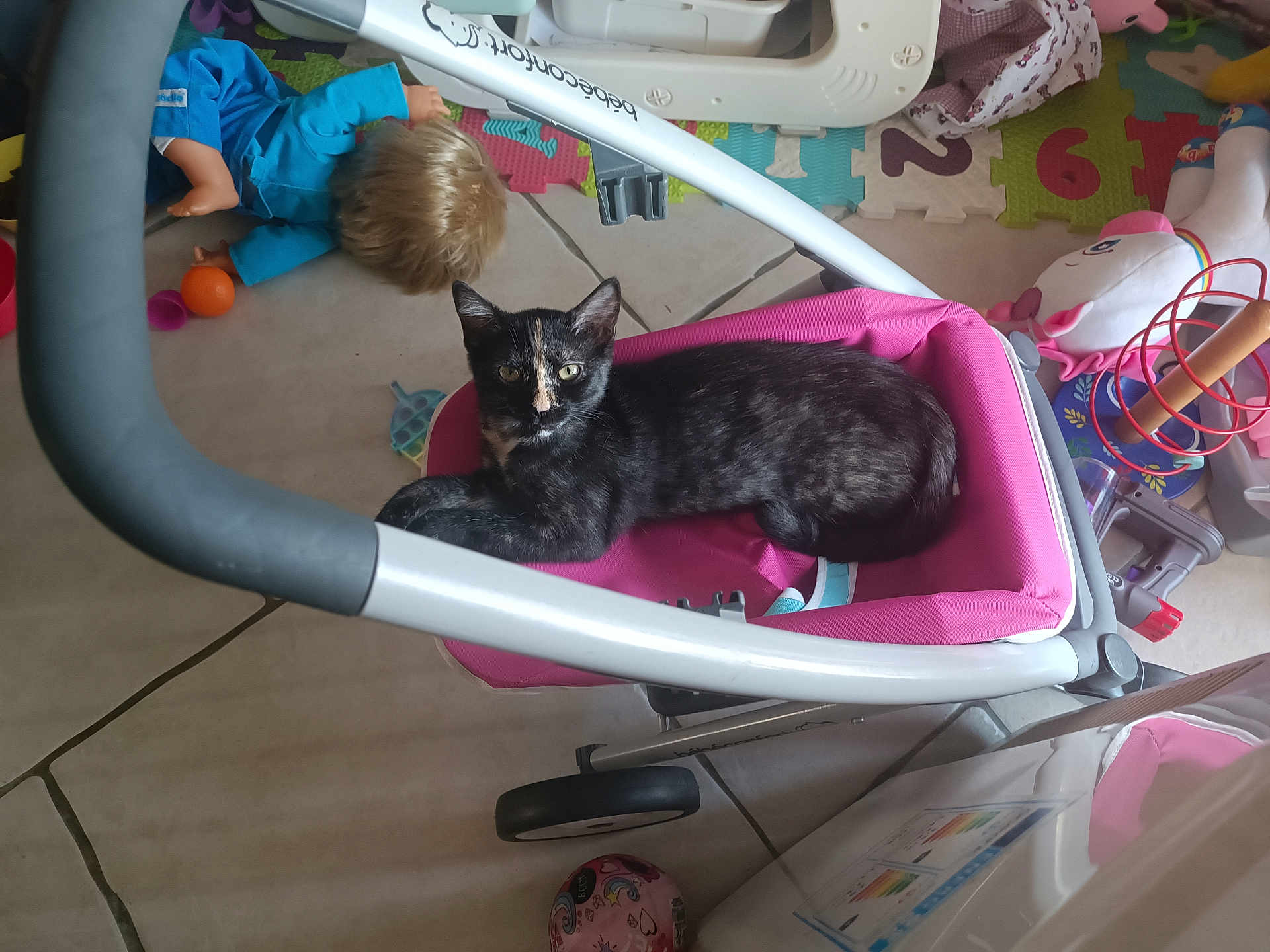 Croquette a rejoint le concours — aidez-le/la à gagner de superbes lots ! cat, stroller, toy, doll, floor, playmat, childrens_toy, indoor, pet, animal, black_cat, pink, plastic_toy, colorful, curious, resting, wheel, fabric, home, leisure
