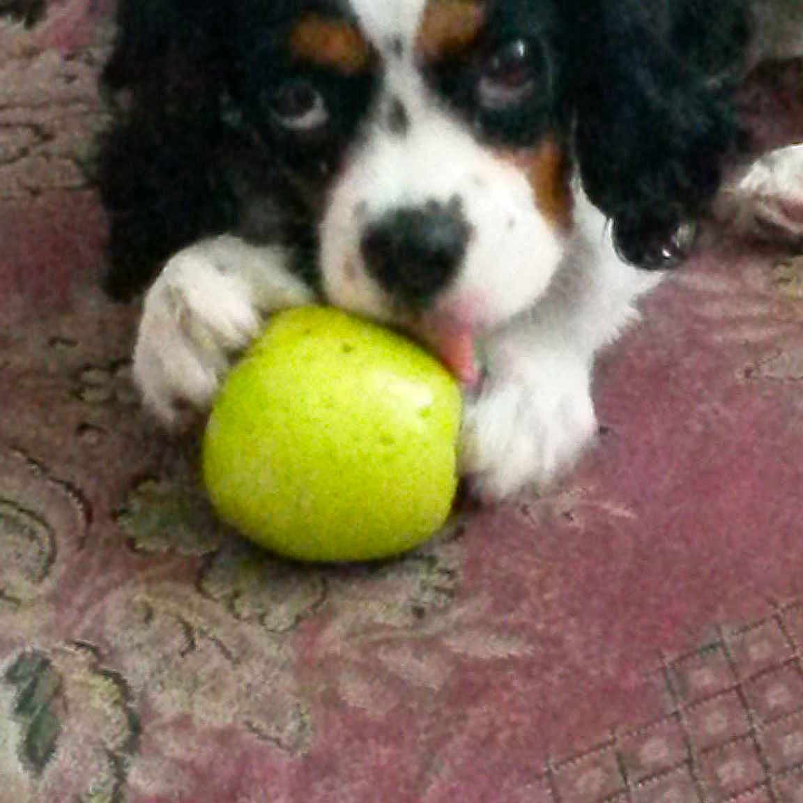 Lillee joined the competition — help win amazing prizes!