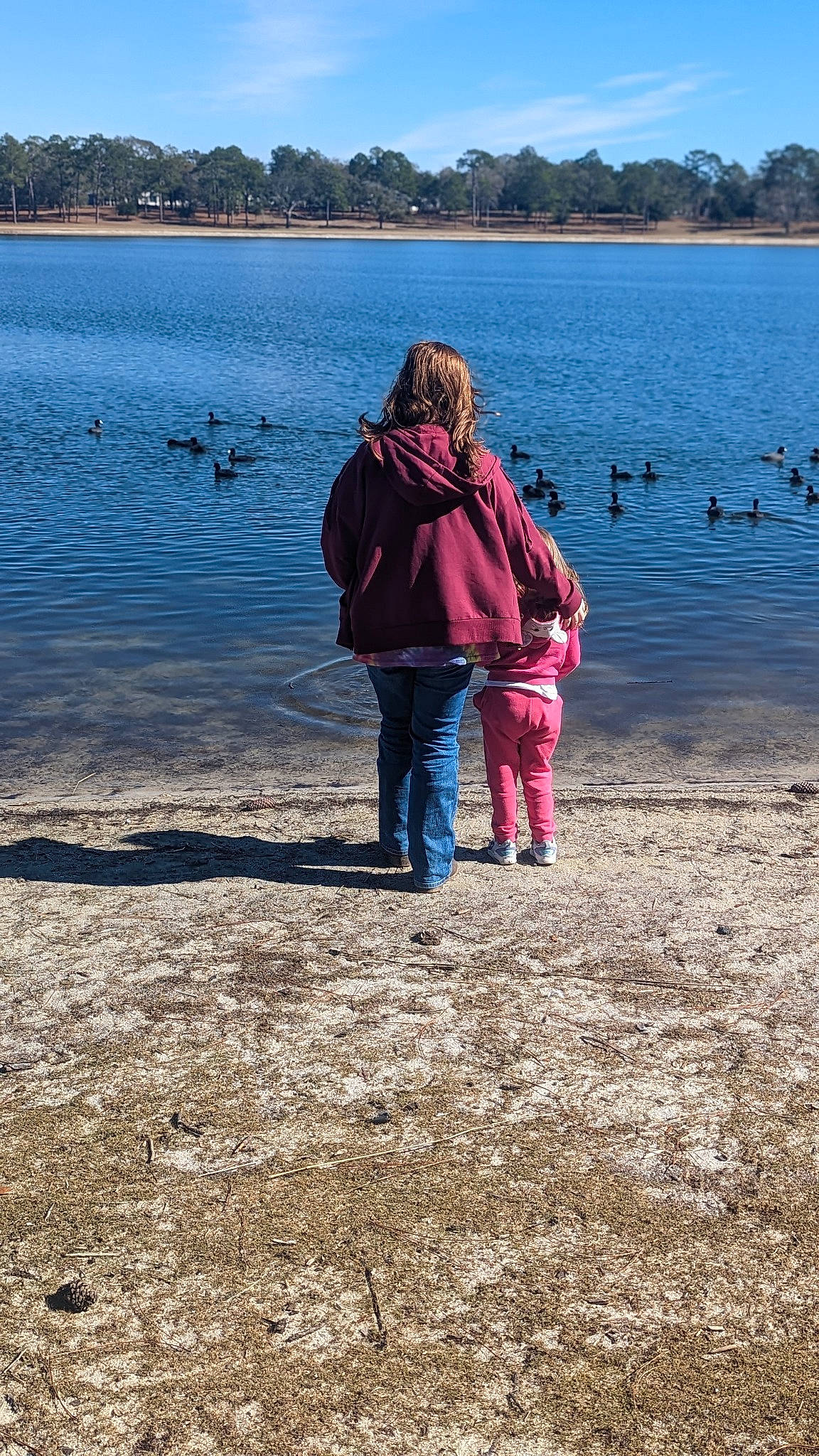 Lena is registered to the contest to win money with this photo: bank, beach, body_of_water, coast, grass, happy, horizon, jacket, lake, landscape, leg, leisure, natural_landscape, people_in_nature, person, recreation, shore, sky, travel, tree