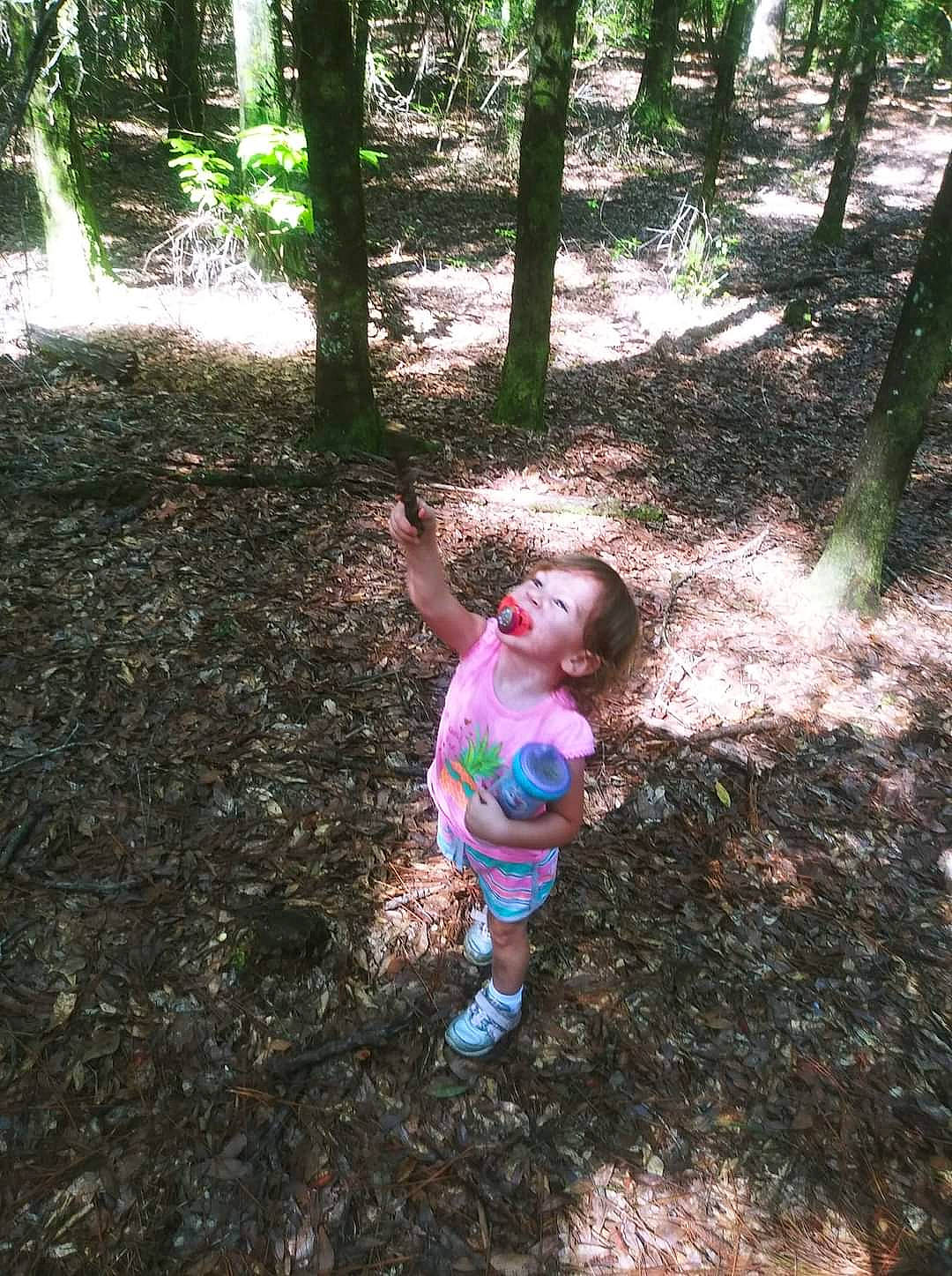 June Kay is registered to the contest to win money with this photo: adaptation, beauty, botany, branch, grass, leisure, morning, natural_environment, natural_landscape, people_in_nature, person, plant, recreation, summer, sunlight, terrestrial_plant, tree, trunk, vegetation, wood