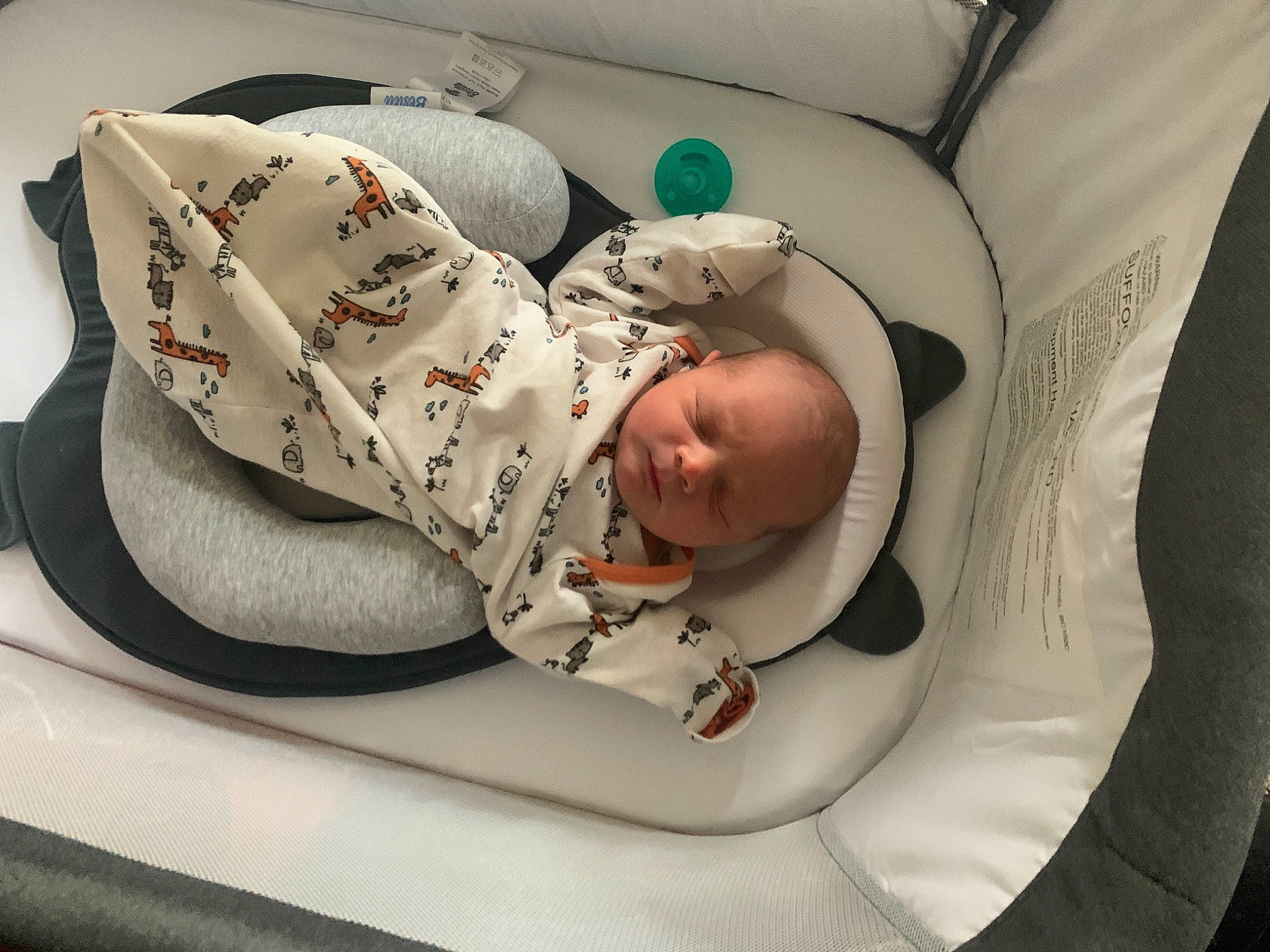 Caspian joined the competition — help win amazing prizes! baby, baby_in_car_seat, baby_products, baby_safety, baby_sleeping, baby_toddler_clothing, bedding, bedtime, car_seat, carmine, child, comfort, linens, nap, person, room, sitting, sleep, sleeve, toddler