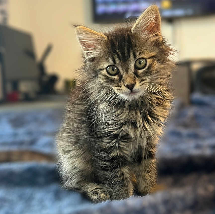 Luna