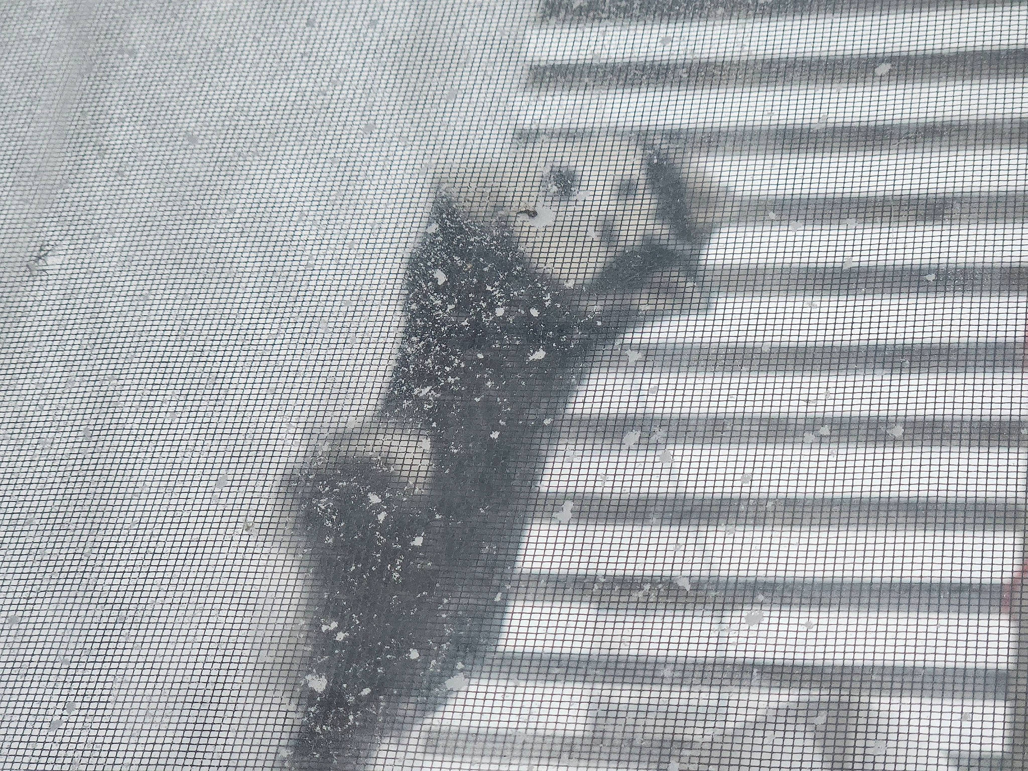 Milo joined the competition — help win amazing prizes! art, font, grey, illustration, mesh, metal, monochrome, monochrome_photography, pattern, shadow, symbol, tints_and_shades, visual_arts, water, wood