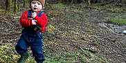 Huxson joined the competition — help win amazing prizes! beanie, blue_eyes, brown_hat, child, denim_overalls, dirt, forest, grass, moss, nature, outdoors, person, portrait, red_sweater, rosy_cheeks, rubber_boots, standing, toddler, trees, walking