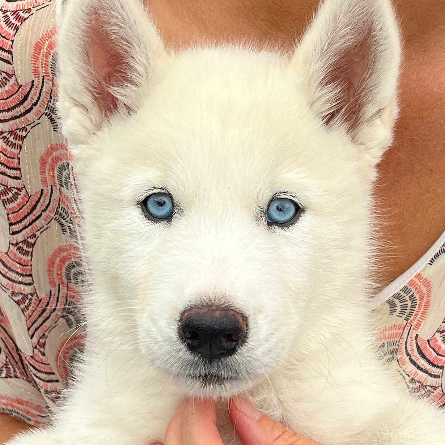 Yuki