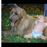 Deniss is registered to the contest to win money with this photo: animal, baby, child, companionship, cute, diaper, dog, friendship, fur, grass, happy, lying_down, nature, outdoor, pet, playful, relaxed, summer, toddler, tongue_out