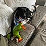 dog, black_dog, bandana, plush_toy, green_toy, orange_toy, couch, blanket, indoor, pet, paw, relaxed, comfort, furniture, tile_floor, toy, animal, domestic_animal, resting, cute
