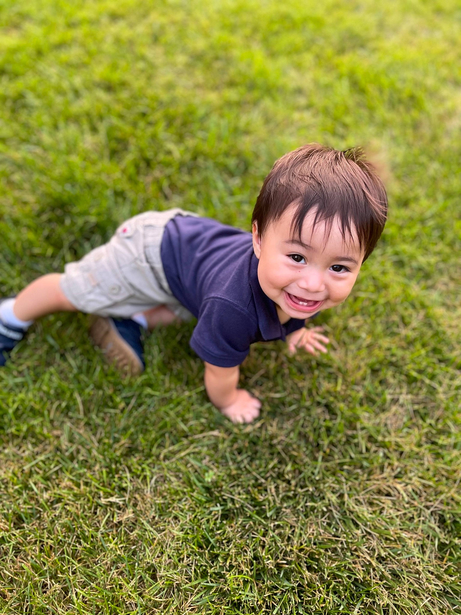 Alejandro is registered to the contest to win money with this photo: baby_toddler_clothing, child, field, flash_photography, flooring, fun, grass, grass_family, grassland, groundcover, happy, joy, leisure, meadow, people_in_nature, person, plant, prairie, sitting, smile