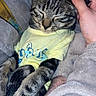 cat, tabby, yellow_shirt, sleeping, pet, cozy, hand, blanket, indoor, resting, cute, fur, animal, domestic_cat, comfort, relaxation, striped, snuggling, soft, human_interaction
