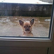 Jolia a rejoint le concours — aidez-le/la à gagner de superbes lots !