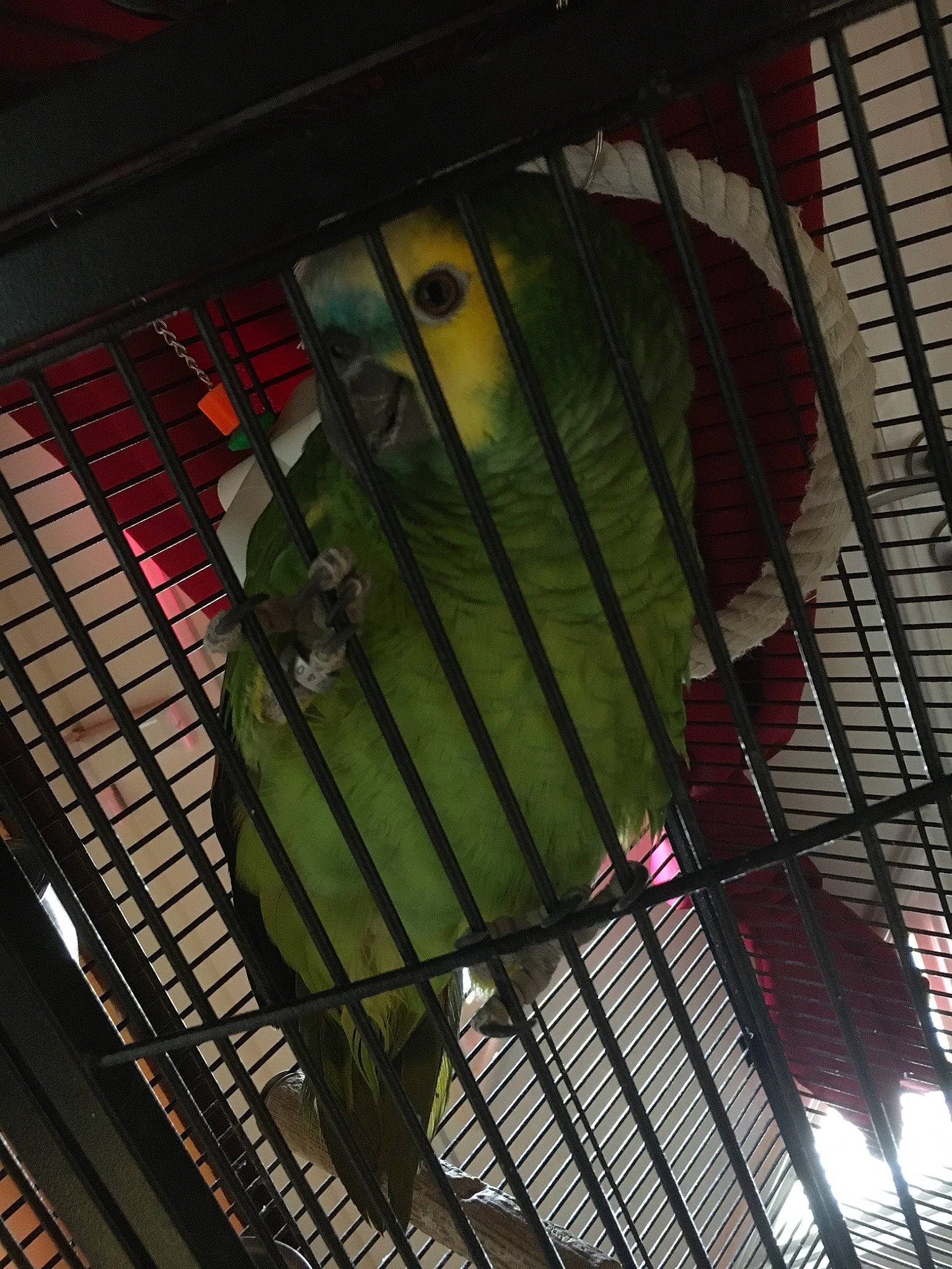 Rio a rejoint le concours — aidez-le/la à gagner de superbes lots ! architecture, building, ceiling, daylighting, glass, iron, line, metal, plant, window