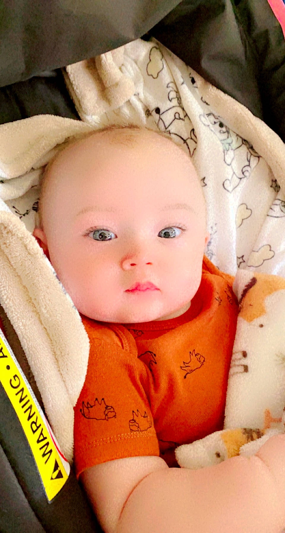 Maesly is registered to the contest to win money with this photo: baby, baby_toddler_clothing, cheek, child, chin, comfort, eye, eyebrow, eyelash, face, happy, head, iris, lip, nose, person, skin, sleeve, textile, toddler