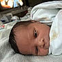 newborn, baby, infant, blanket, sleeping, face, head, soft, closeup, indoors, resting, wrapped, cozy, child, young, skin, person, cute, portrait, peaceful