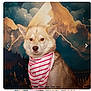 Stella joined the competition — help win amazing prizes! animal, background, bandana, brown_fur, canine, dog, ears, eyes, face, indoor, looking_at_camera, mountain, nose, painting, pet, portrait, sitting, striped, studio, white_fur
