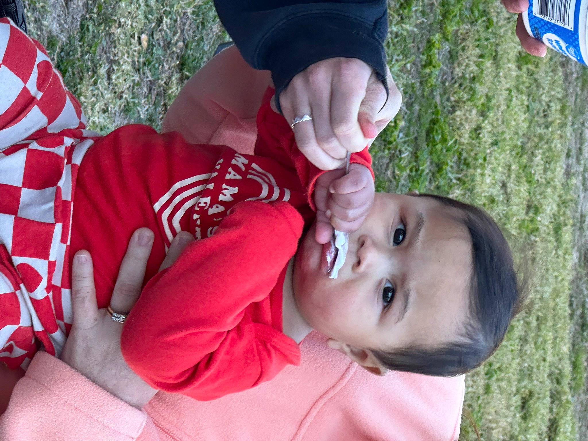 Jovanni joined the competition — help win amazing prizes! baby, baby_toddler_clothing, carmine, child, clothing, event, flag, fun, grass, happy, human, leaf, leisure, mouth, person, plant, recreation, sitting, toddler, tree