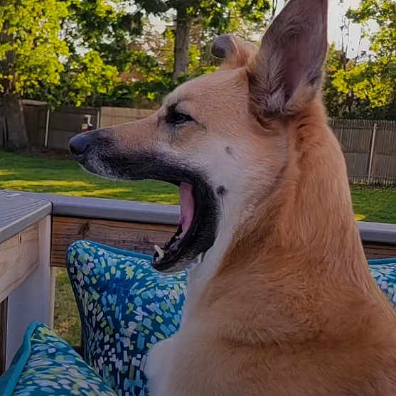 Maggie
