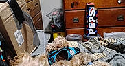 Loki joined the competition — help win amazing prizes! dog, bed, blanket, dressing_table, cardboard_box, harness, collar, sleeping, fur, indoor, pet, resting, household_items, clutter, wooden_furniture, plastic_container, fabric, relaxation, animal, sleep