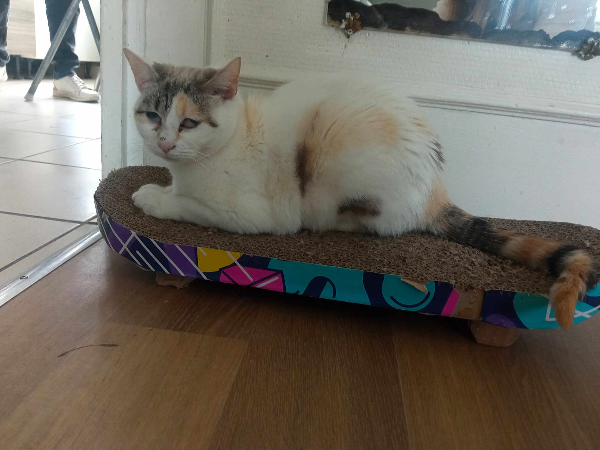 Princesse