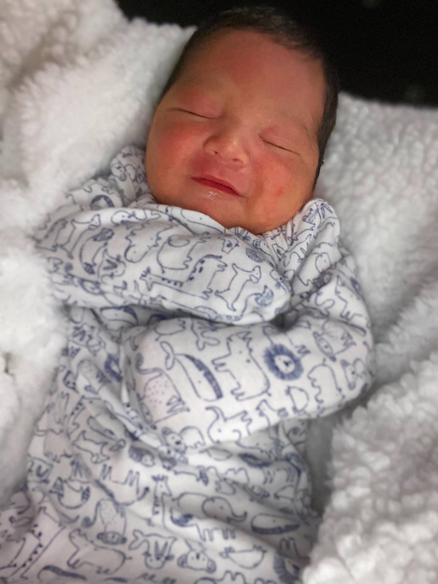 Mario joined the competition — help win amazing prizes! baby, bedtime, cheek, child, comfort, eye, eyebrow, face, fur, head, iris, linens, mouth, nose, pattern, person, skin, sleep, sleeve, textile