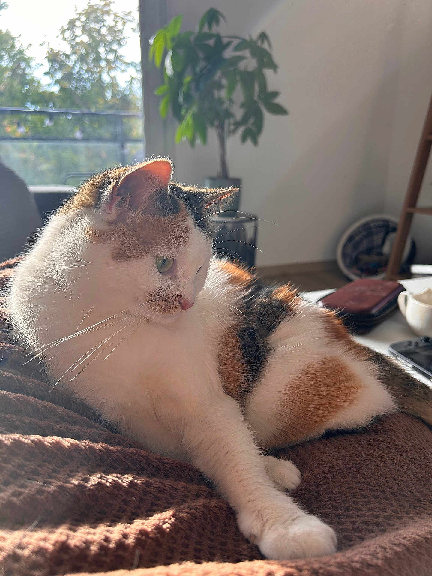 Kira