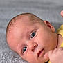 Ewen participe au concours pour gagner de l'argent avec cette photo : baby, infant, face, eyes, skin, blanket, yellow_clothing, hand, portrait, closeup, newborn, lying_down, child, cute, expression, indoors, soft_texture, young, person, head