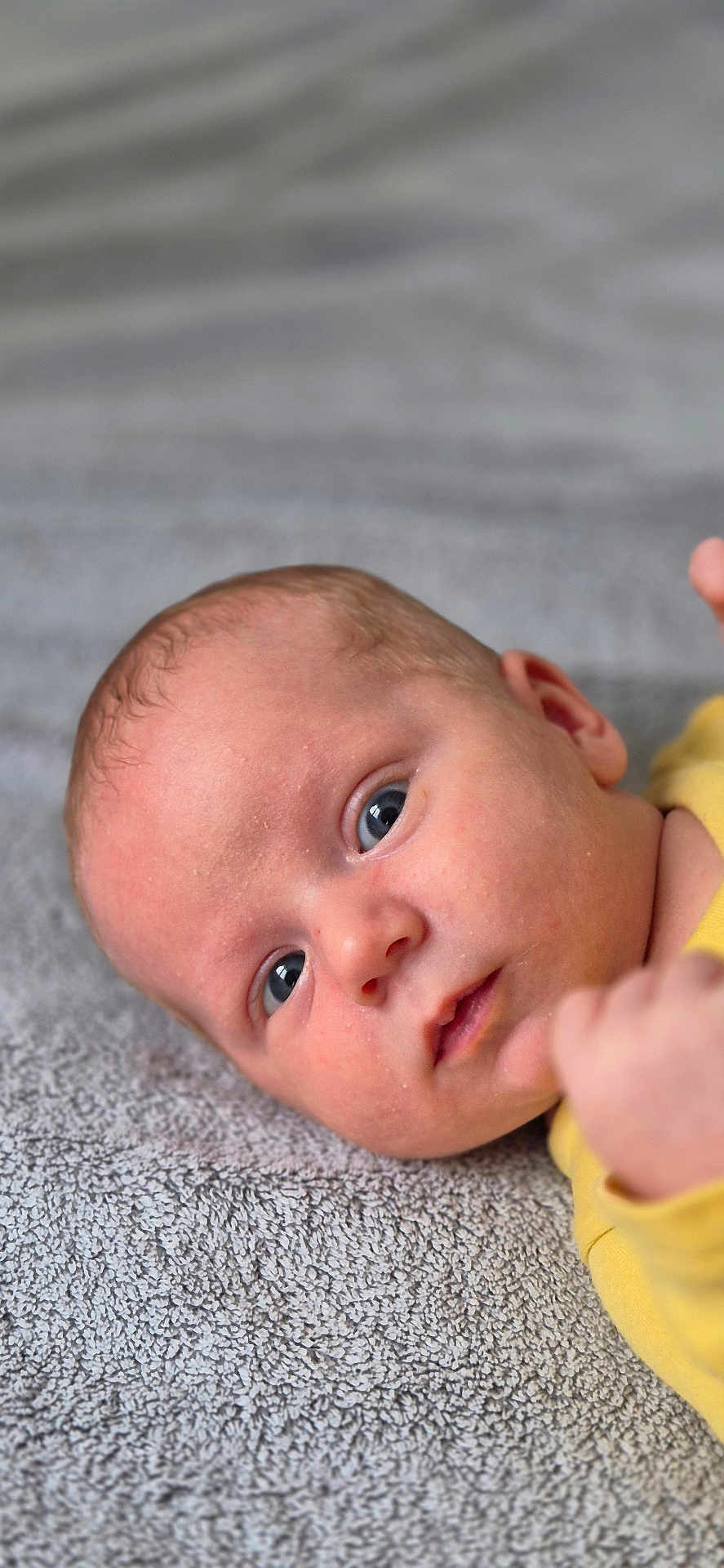 Ewen participe au concours pour gagner de l'argent avec cette photo : baby, infant, face, eyes, skin, blanket, yellow_clothing, hand, portrait, closeup, newborn, lying_down, child, cute, expression, indoors, soft_texture, young, person, head