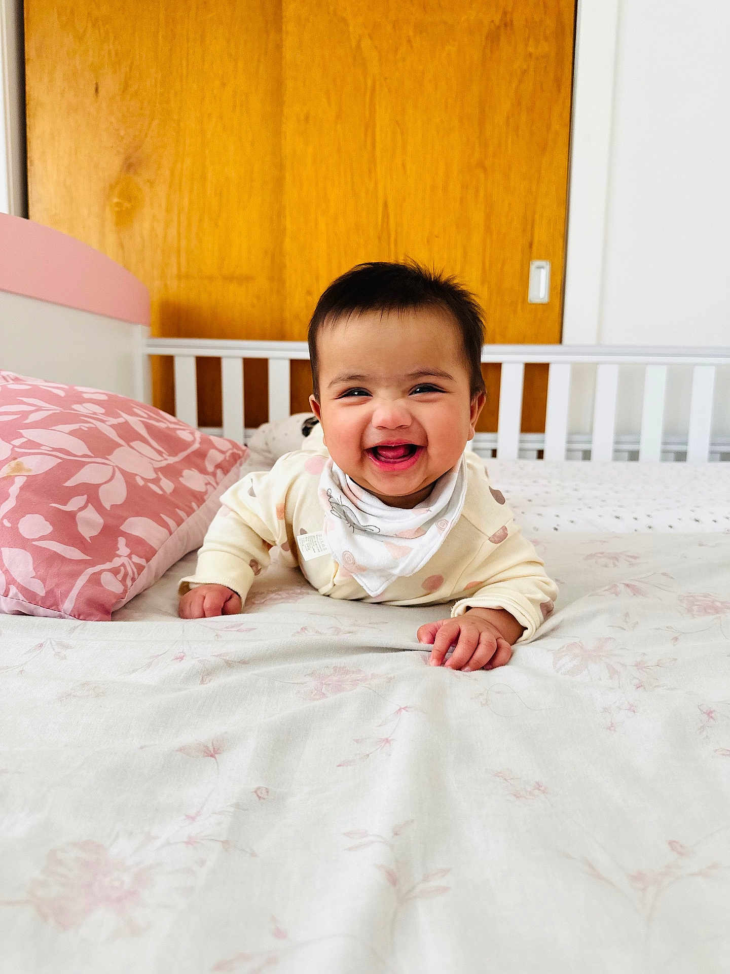 Anabia