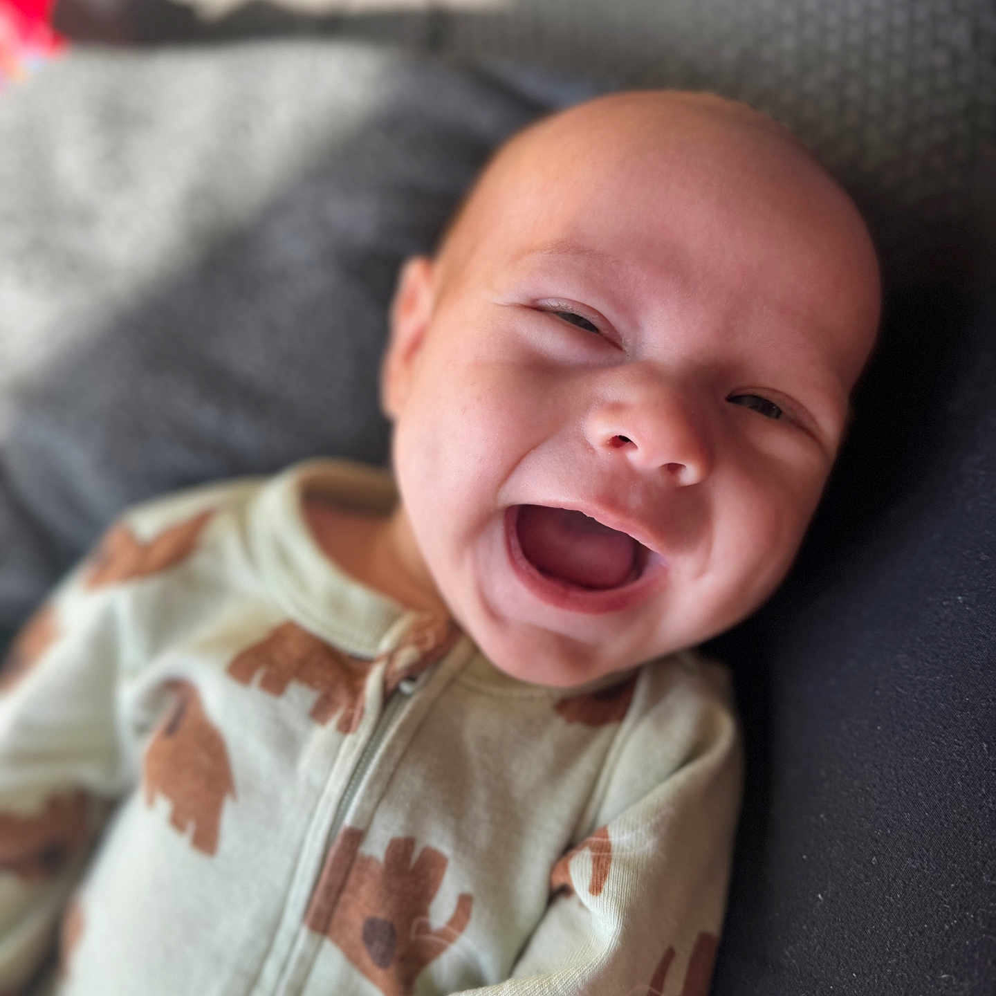 Ronen joined the competition — help win amazing prizes! baby, blanket, child, closeup, clothing, cute, elephant_pattern, expression, face, happy, head, indoor, infant, joy, newborn, onesie, person, portrait, skin, smiling