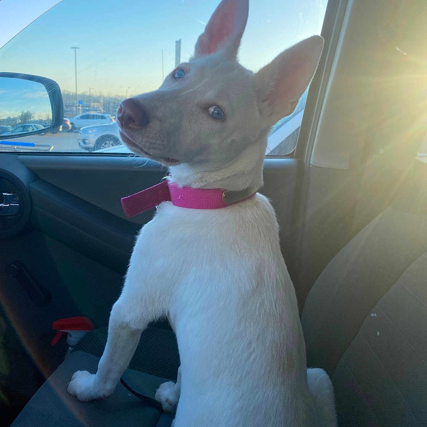 Opal Ann
