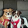 Kc And Coco
