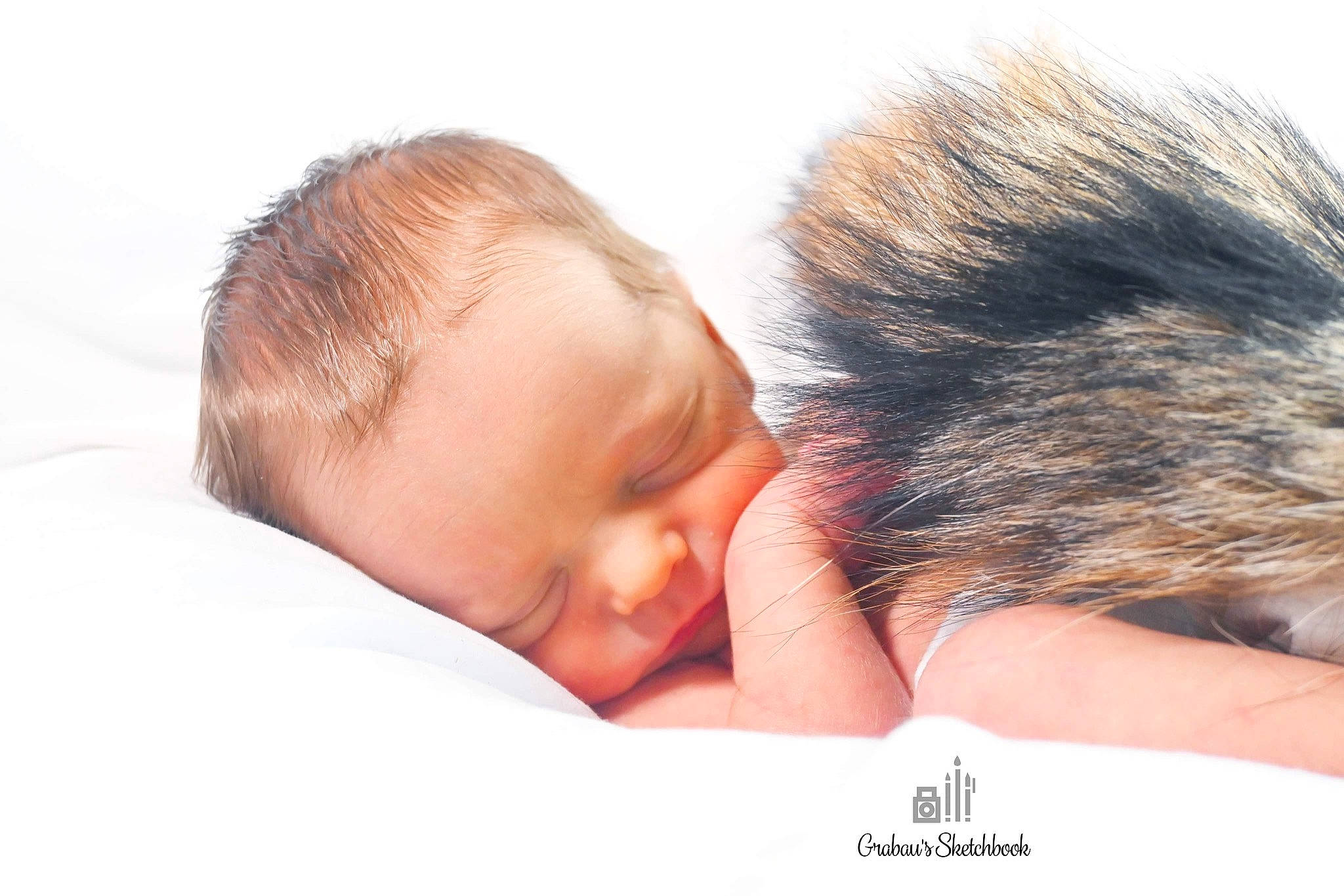 Jeffrey is registered to the contest to win money with this photo: baby, baby_sleeping, cheek, child, comfort, ear, eyebrow, eyelash, fur, gesture, hand, happy, hug, iris, lip, love, nail, nose, person, thumb