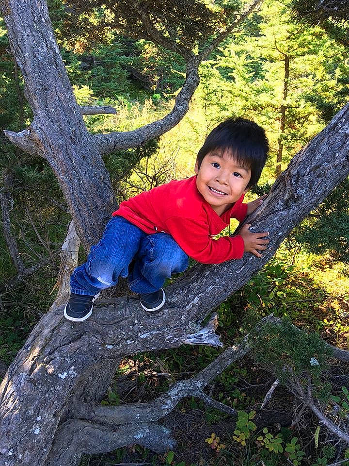 Fernando joined the competition — help win amazing prizes! adventure, autumn, branch, child, joy, leaf, leisure, people_in_nature, person, photography, plant, recreation, rock, smile, tree