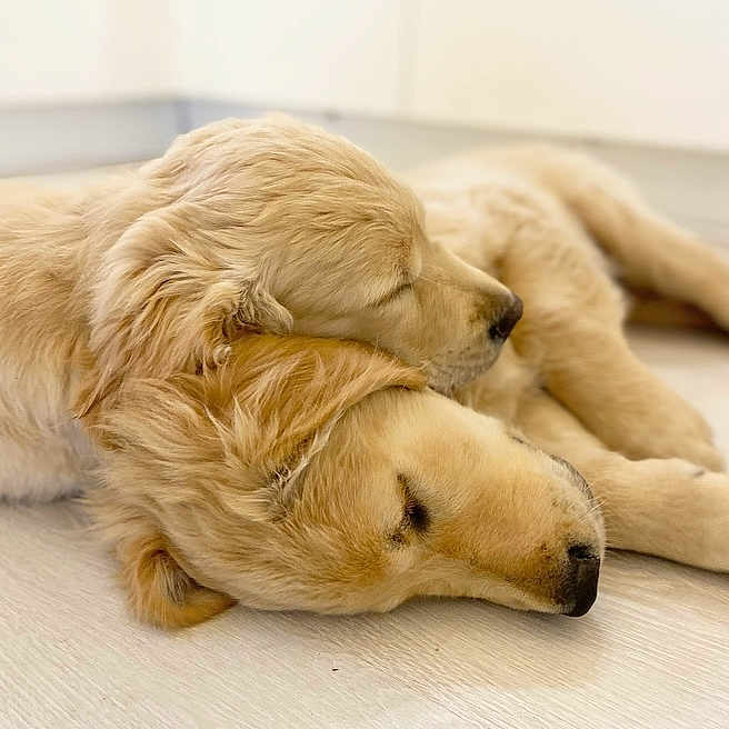 Eliott Et Lilly