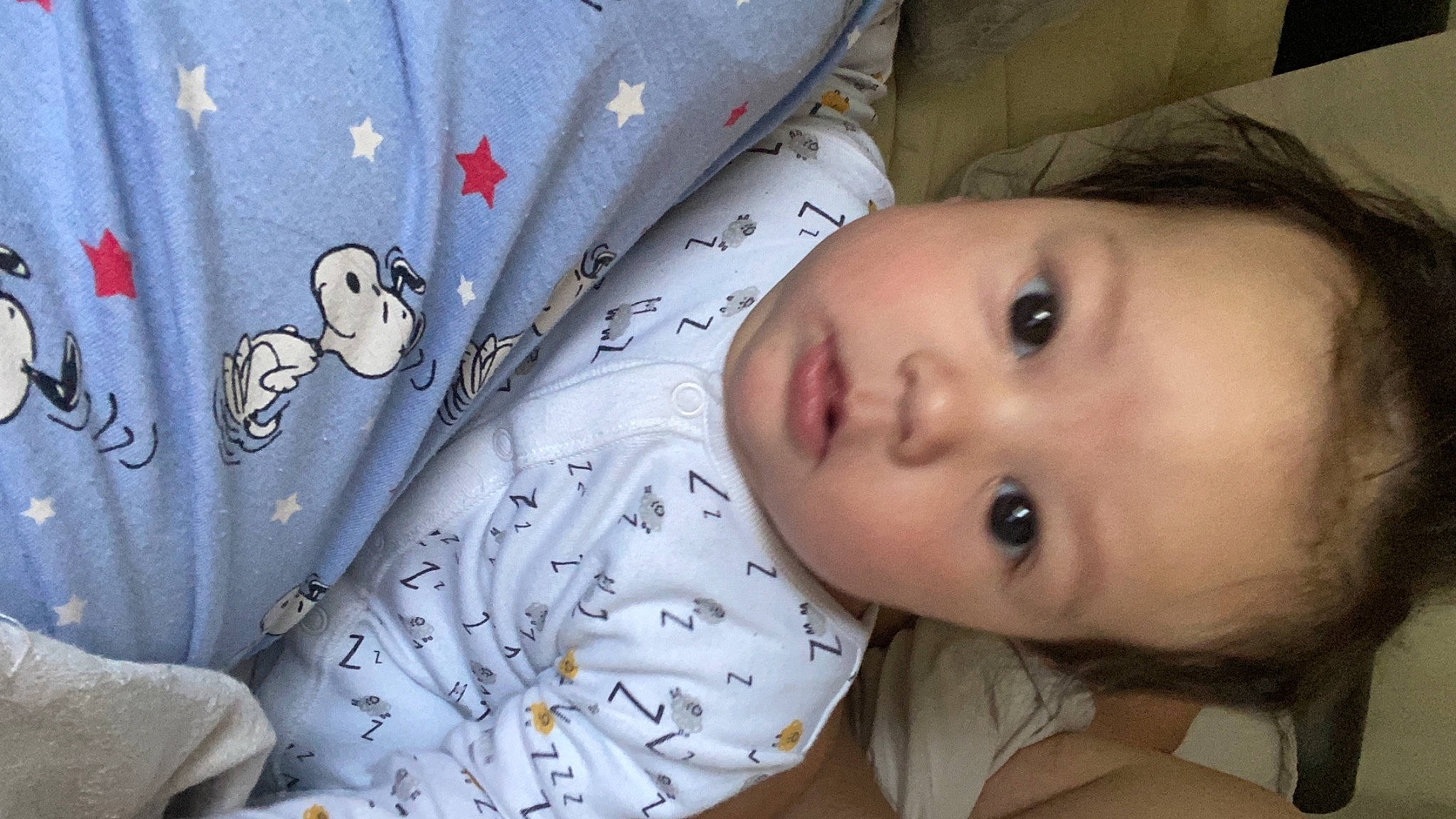 Albert joined the competition — help win amazing prizes! baby, baby_safety, baby_toddler_clothing, bedding, cheek, child, comfort, eyelash, iris, linens, lip, mouth, nose, pattern, person, product, room, skin, sleeve, textile