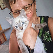 Jerry a rejoint le concours — aidez-le/la à gagner de superbes lots ! person, cat, kitten, blue_eyes, glasses, indoor, portrait, close_up, holding, pet, feline, watching, curious, face, hand, earrings, short_hair, black_shirt, watch, background