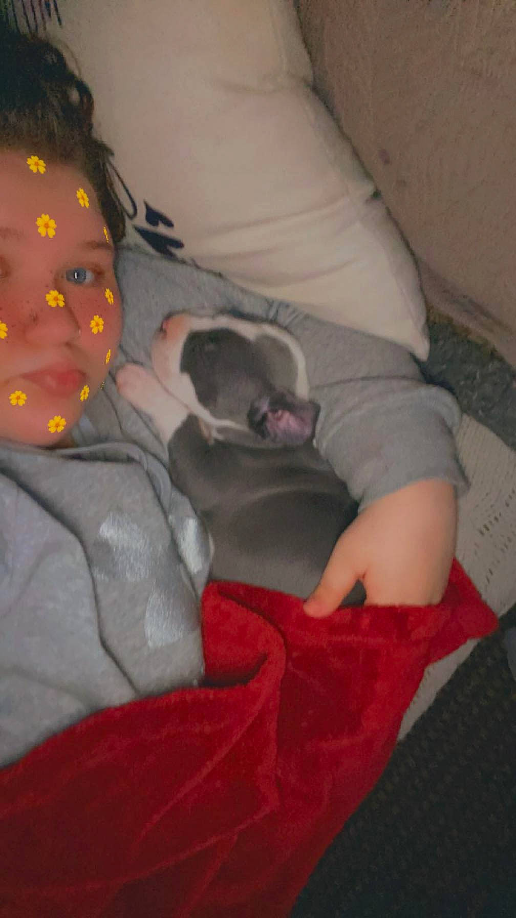 Blueberry is registered to the contest to win money with this photo: bedding, bedtime, carmine, comfort, flesh, fun, human_leg, knee, lap, linens, nap, room, sitting, sleep, sleeve, sock, textile, thigh