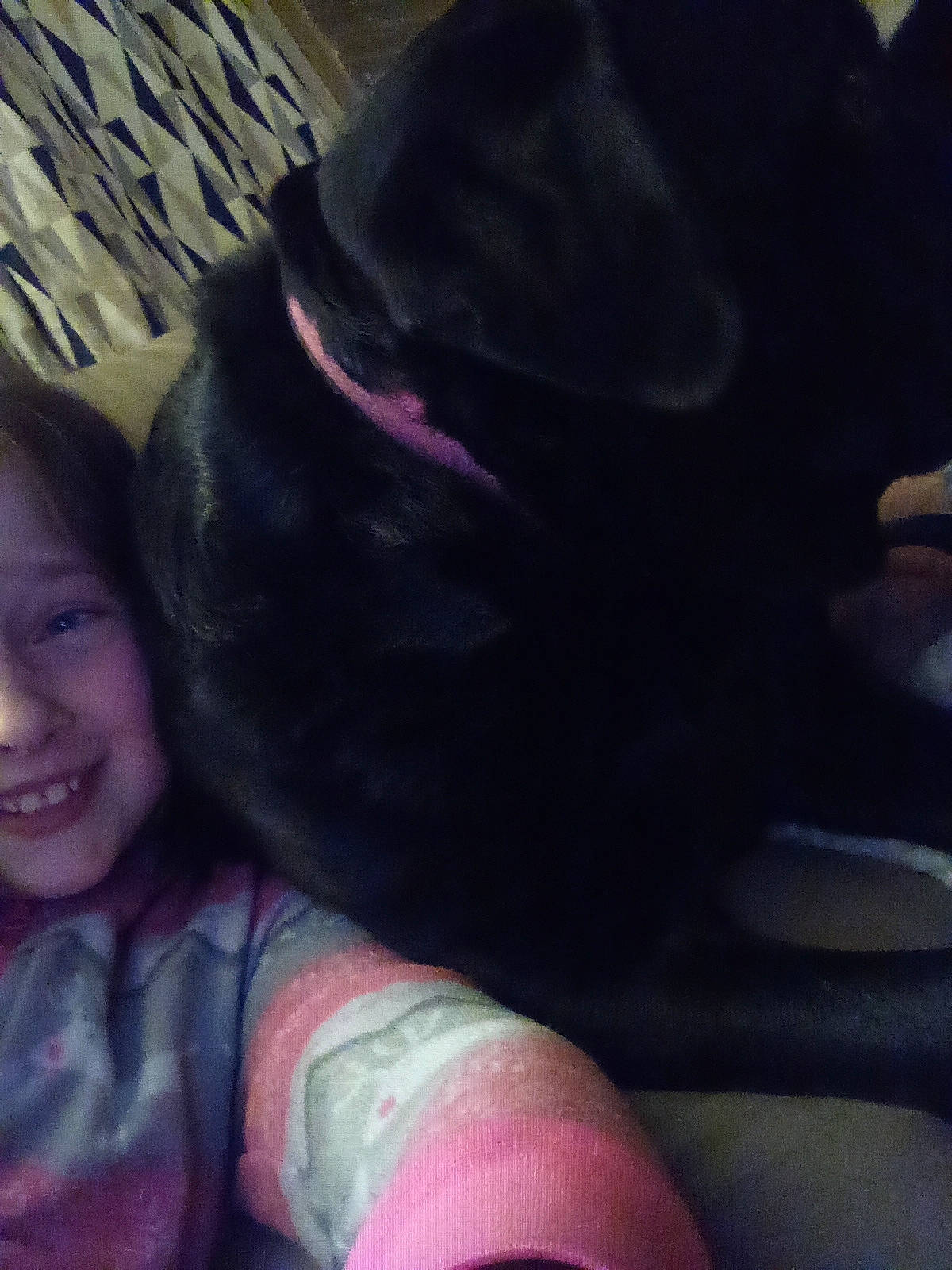 Cassie is registered to the contest to win money with this photo: carnivore, comfort, companion_dog, dog, dog_breed, fashion_accessory, foot, fur, gesture, guard_dog, human_leg, knee, magenta, pink, selfie, sitting, sporting_group, tail, thigh, whiskers