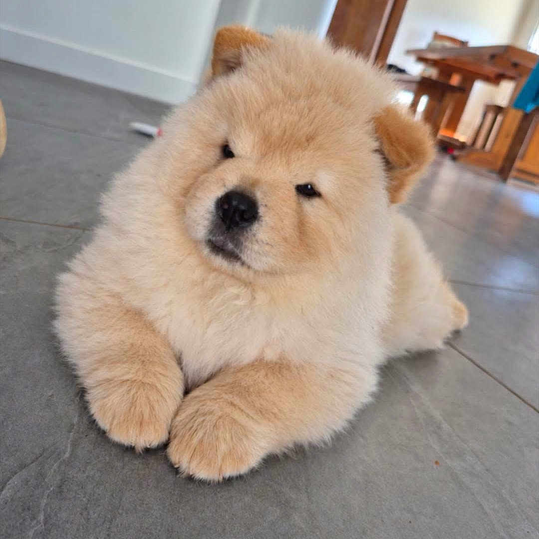 Baya