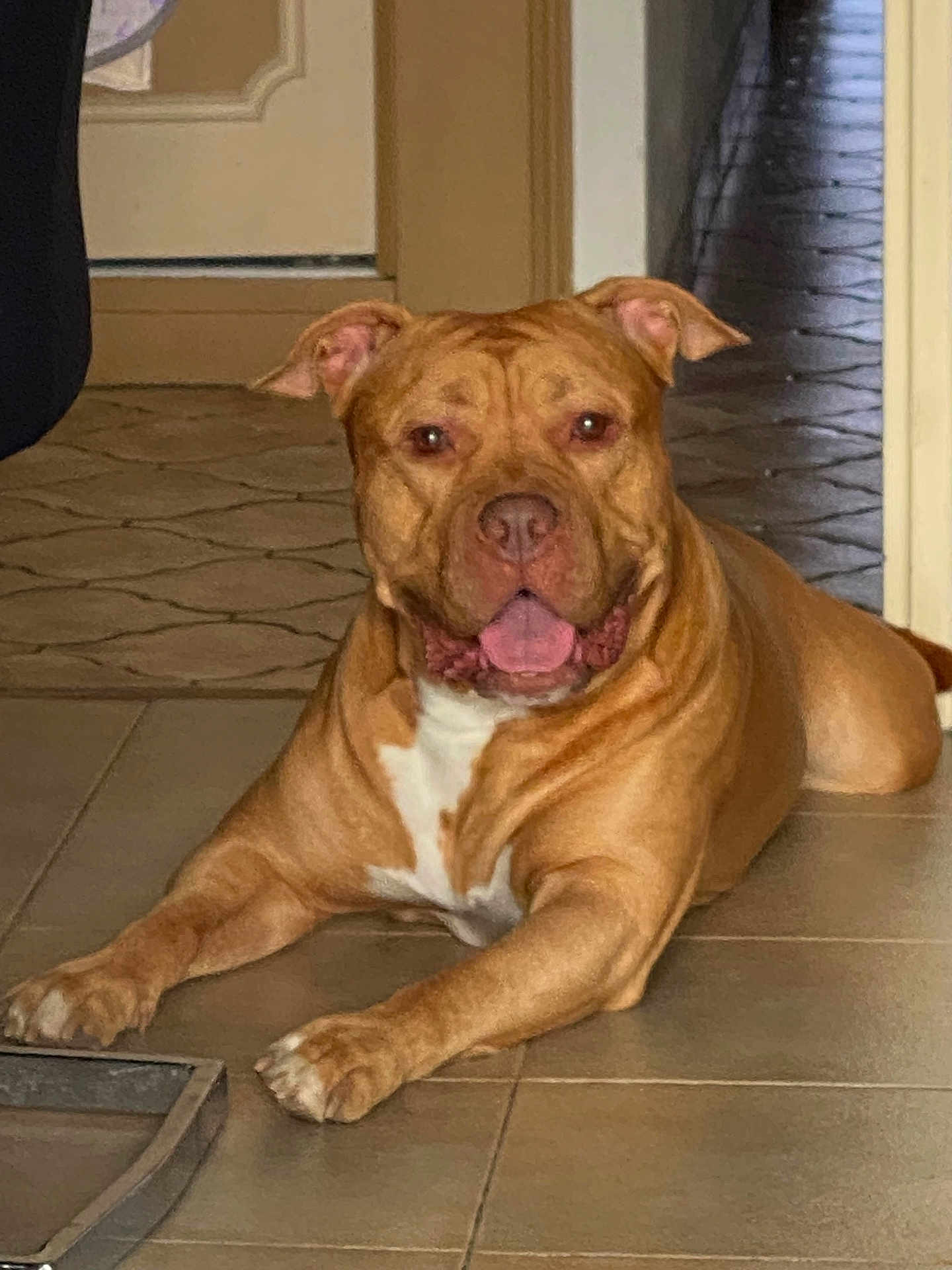 Aldo