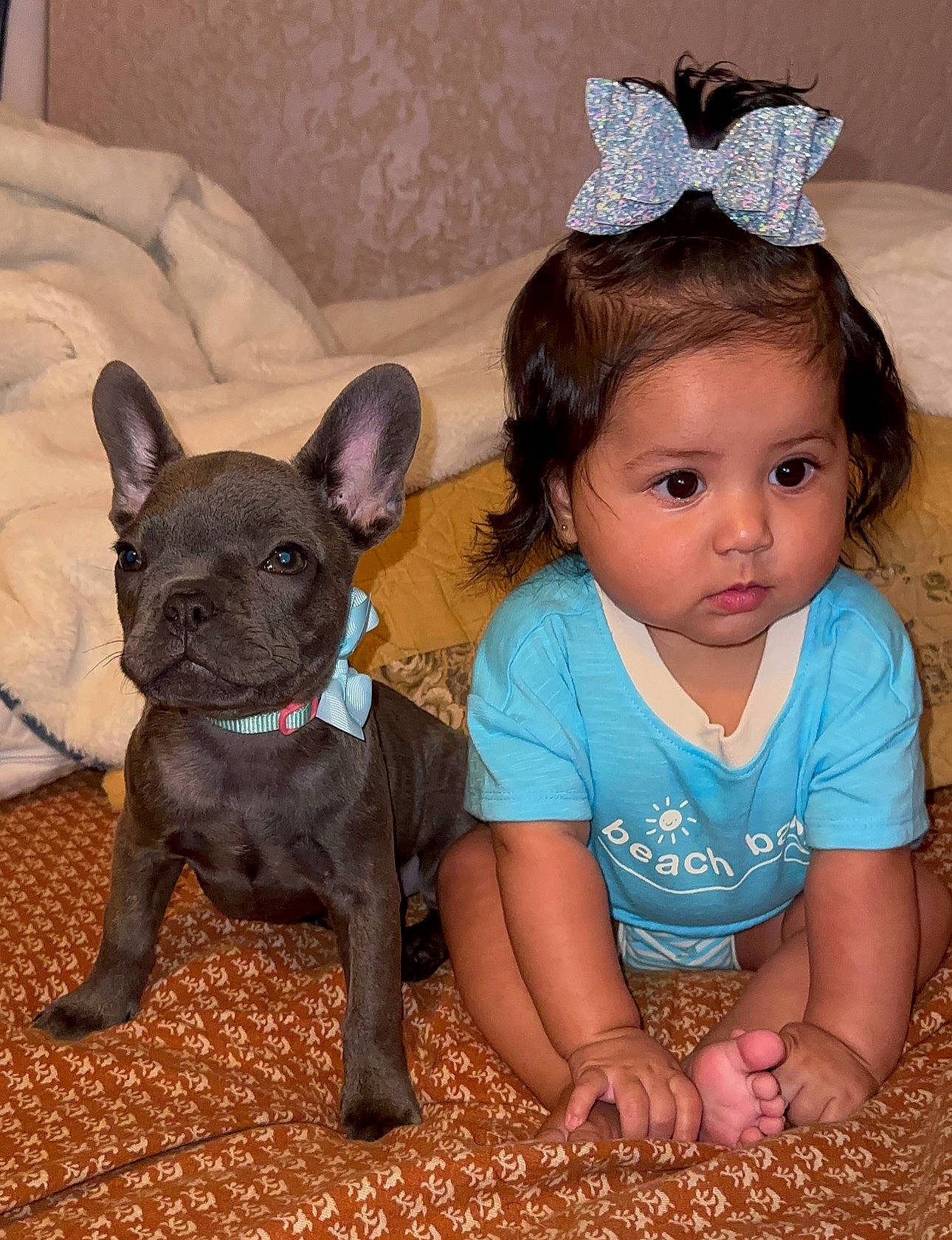 Juliette is registered to the contest to win money with this photo: baby_toddler_clothing, bulldog, carnivore, comfort, companion_dog, dog, dog_breed, ear, eye, eyelash, fawn, happy, head, human_body, leg, organ, person, skin, snout, toddler